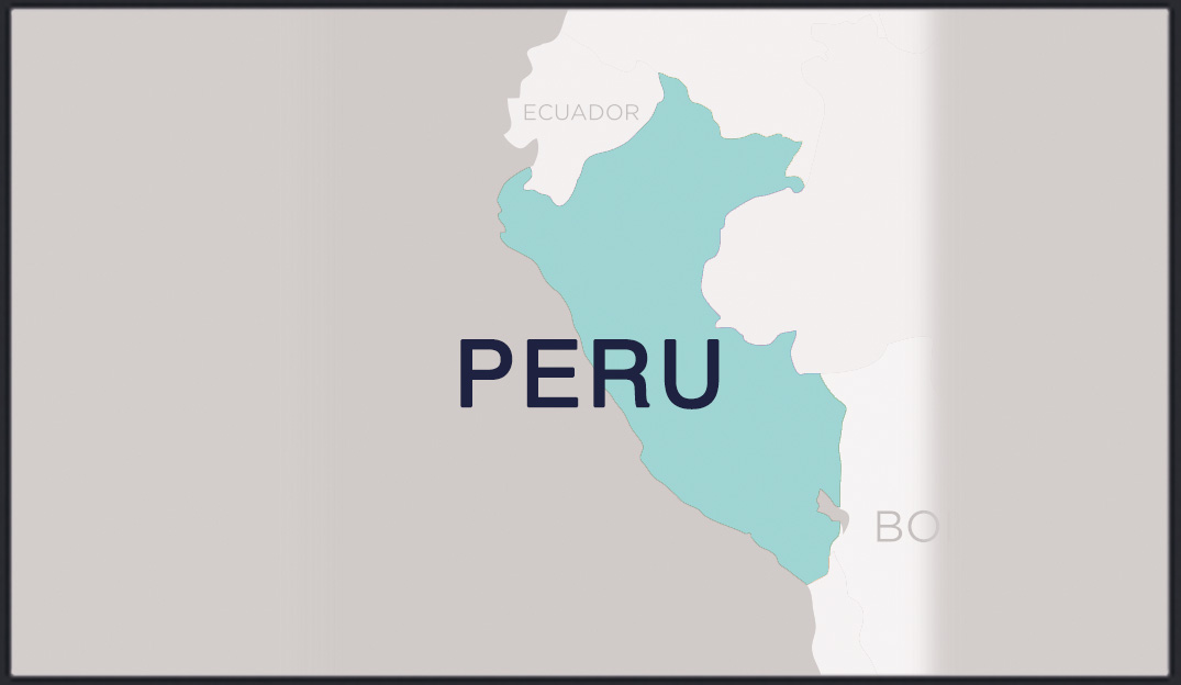 Microplus Germany of Peru