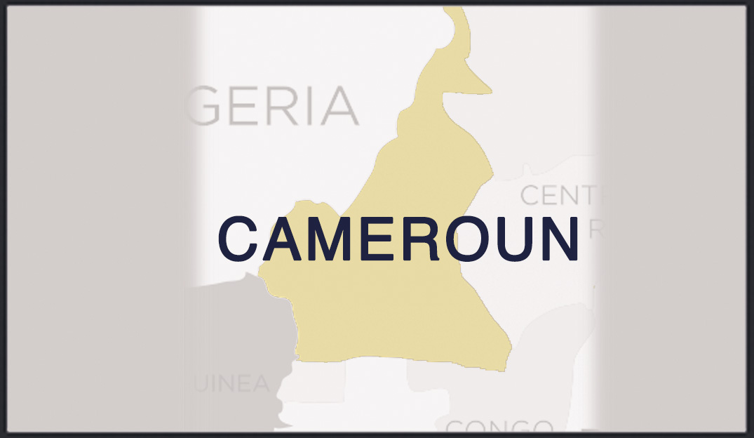 Microplus Germany Cameroun - Energie renouvelable du Cameroun